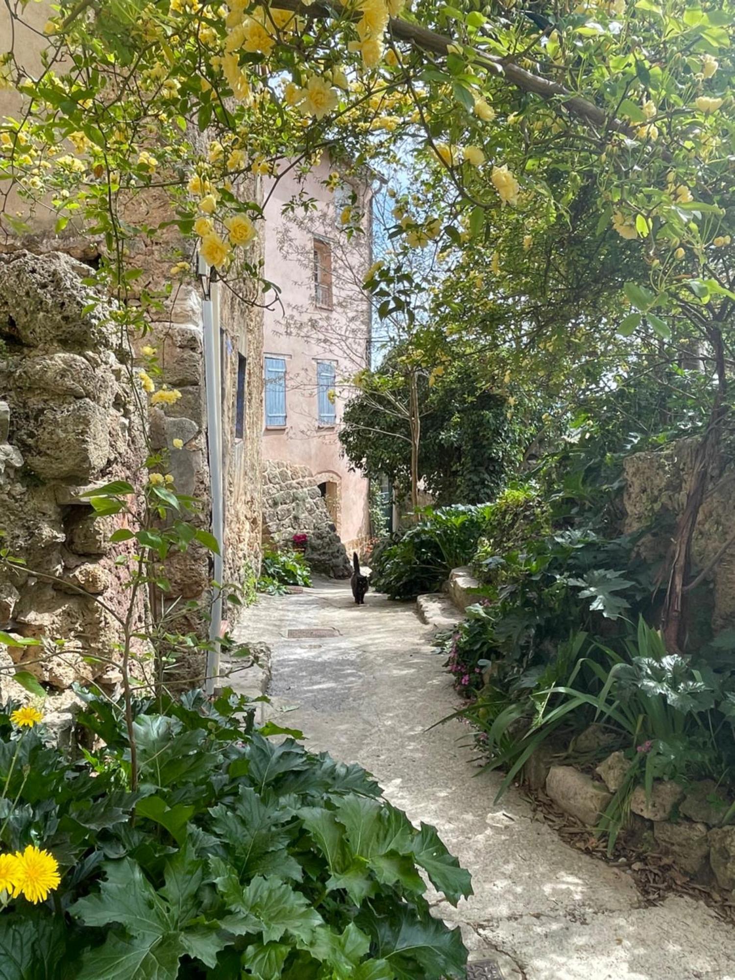 Cosy & Chill Appartements - Au Coeur Du Village De Cotignac, En Provence Exterior photo